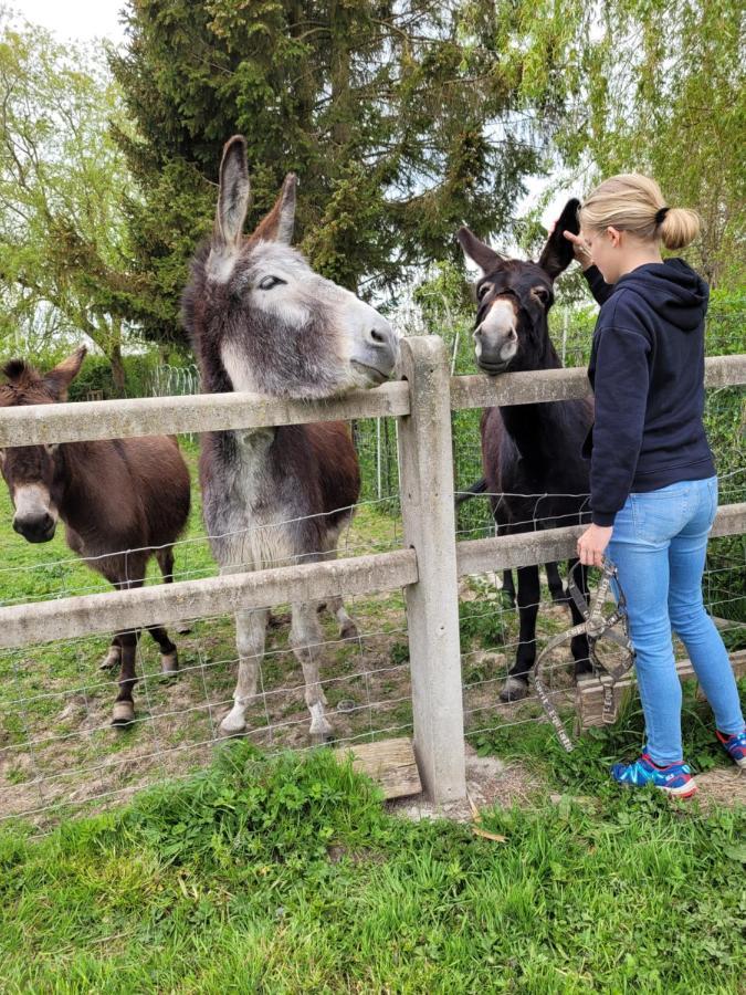 Studio Bienvenue Du Cote De Chez Nous Avec Jardin Privatif Wignehies Eksteriør bilde