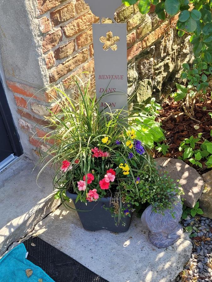 Studio Bienvenue Du Cote De Chez Nous Avec Jardin Privatif Wignehies Eksteriør bilde