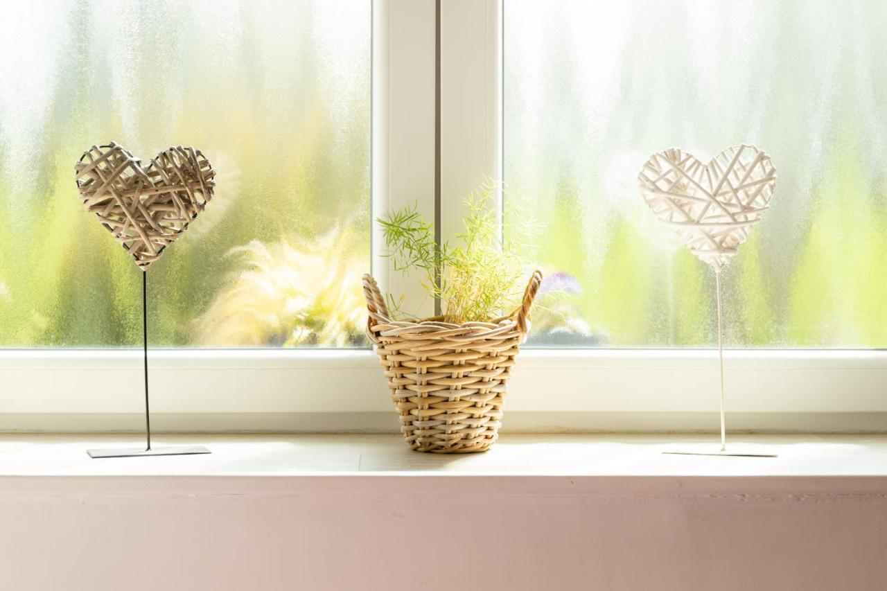 Studio Bienvenue Du Cote De Chez Nous Avec Jardin Privatif Wignehies Eksteriør bilde