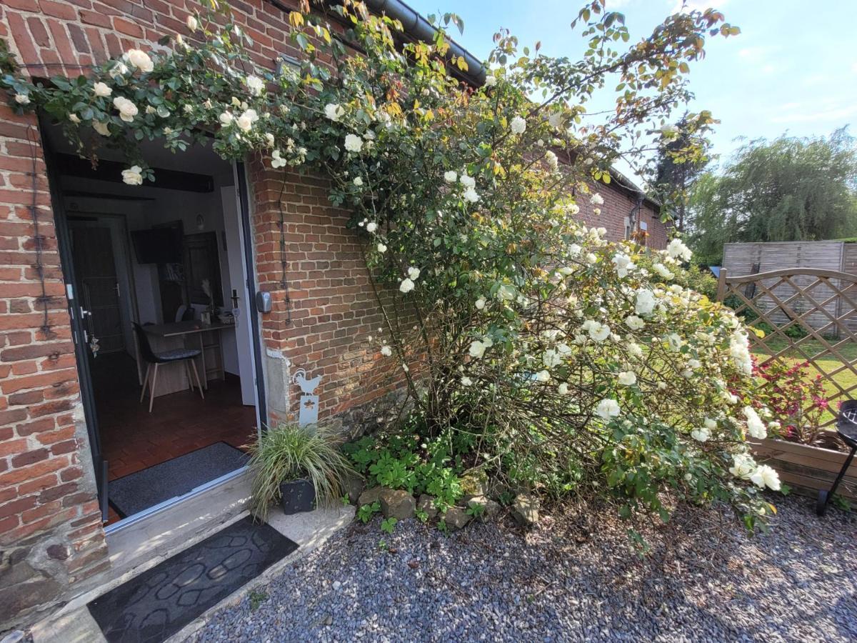 Studio Bienvenue Du Cote De Chez Nous Avec Jardin Privatif Wignehies Eksteriør bilde
