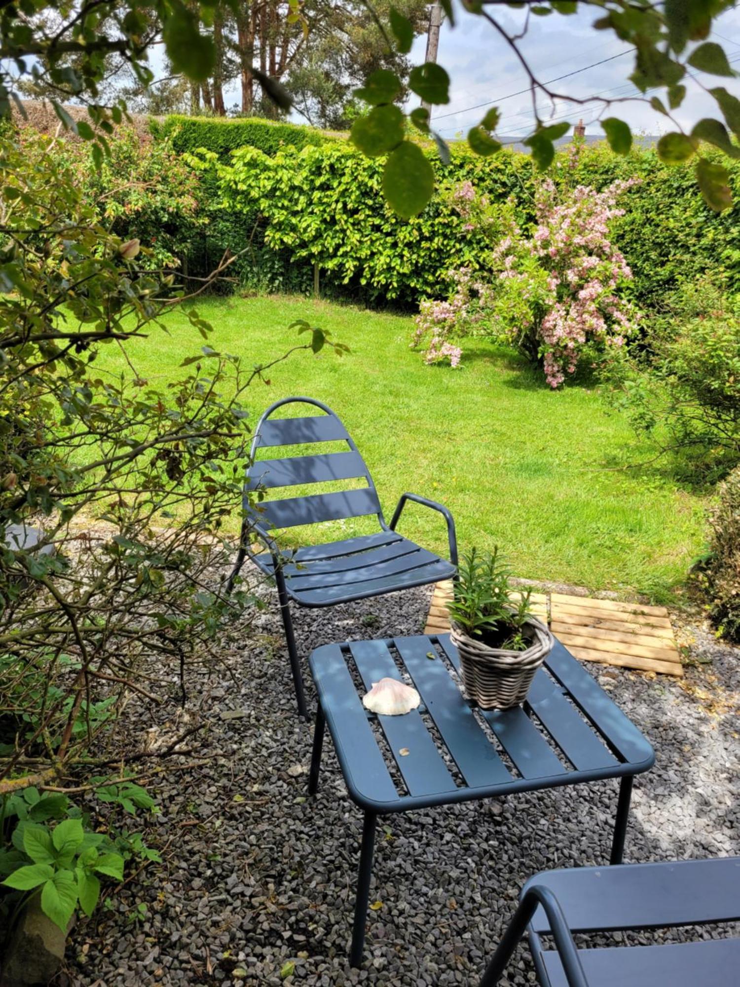 Studio Bienvenue Du Cote De Chez Nous Avec Jardin Privatif Wignehies Eksteriør bilde